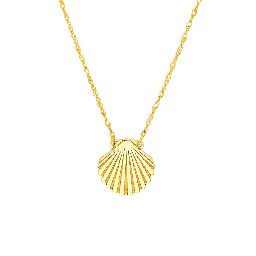 So You Seashell Necklace