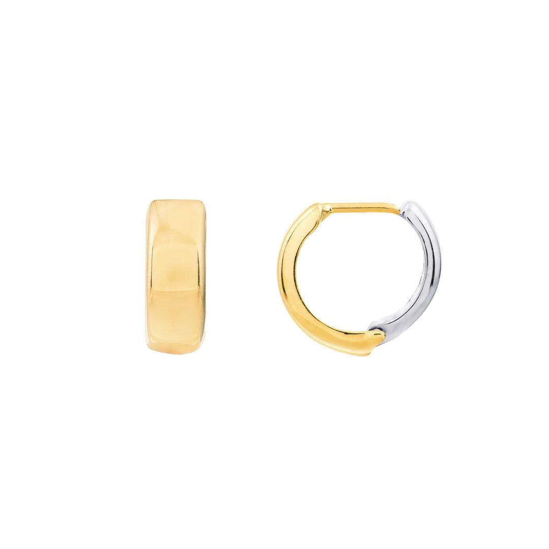 Two Tone Hoop Earrings